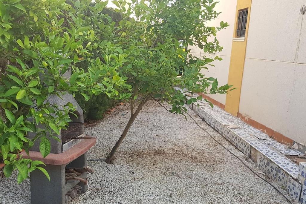 Punta Prima Bungalow Jardin Privado Torrevieja Exterior foto
