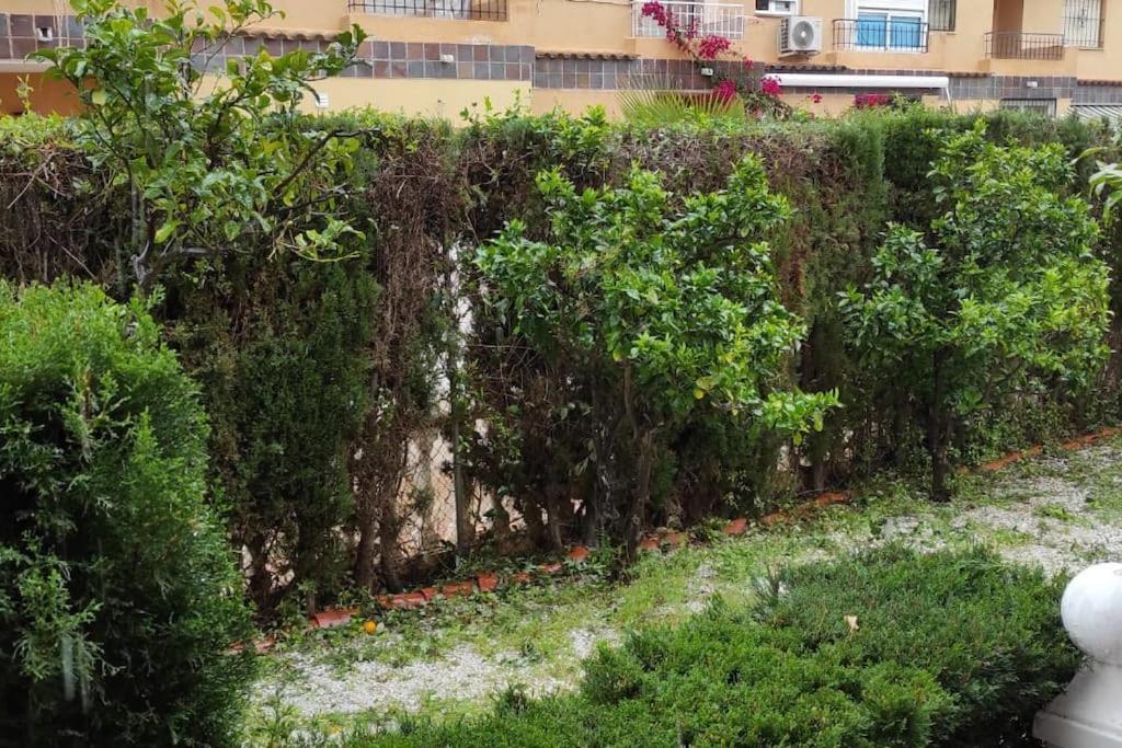 Punta Prima Bungalow Jardin Privado Torrevieja Exterior foto
